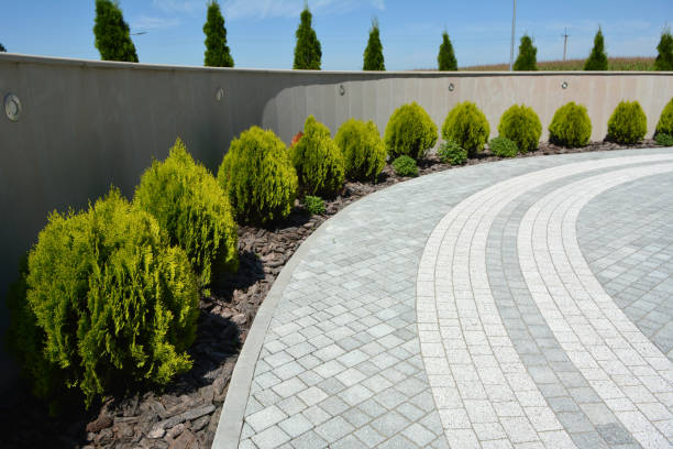 Best Residential Paver Driveway  in Wailuku, HI